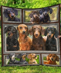 You Have a Special Place in My Heart - Boxer Quilt Bedding Set