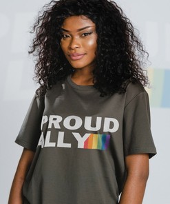 Funny LGBT T-Shirt, LGBT Gay Pride, Proud Ally Unisex Shirts