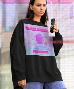 Glass Animals Heatwave Viral Tee Sweatshirt - Album Merch for Fans
