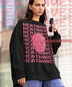 Glass Animals Merch Heat Waves Sweatshirt - Retro 90s Viral Tees for Fans