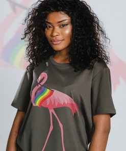 LGBTQ Pride Month Flamingo Birds Shirt - Perfect Gift for Human's Right Supporters
