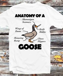 Anatomy of A Goose Funny Duck Tee for Gamers and Anime Fans - Unisex Anime Top Tee