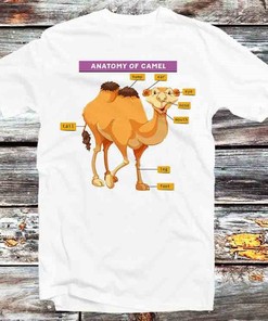 Anatomy of a Camel Retro Cool Anime Tee - Perfect Gift Idea