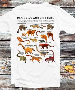 Cute Cartoon Raccoon Relatives Tee - Vintage Anime Tee for Animal Lovers
