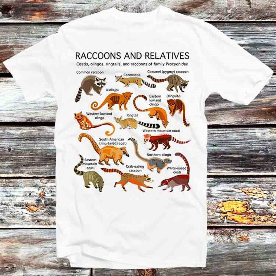 Cute Cartoon Raccoon Relatives Tee - Vintage Anime Tee for Animal