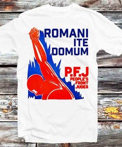 D20 Cat Dice Roll T-Shirt, Vintage Retro Tee for Men and Women - Perfect Gift for Gamers and Anime Fans