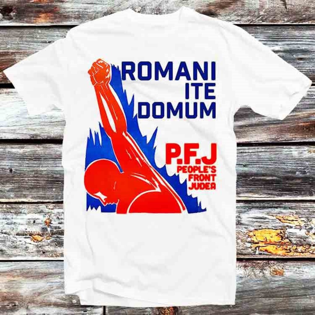 D20 Cat Dice Roll T-Shirt, Vintage Retro Tee for Men and Women - Perfect Gift for Gamers and Anime Fans