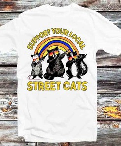 Dabbing Raccoon Support Your Local Street Cats T-Shirt - Funny Anime Gift