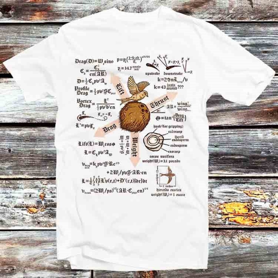 Engineer Moon Gravity Tee for Science and Anime Fans - Unisex Anime Top Tee
