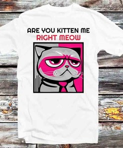 Funny Cat Lover's Tee Are You Kitten Me Right Meow?