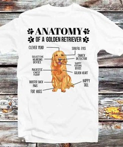 Golden Retriever Anatomy Tee - Perfect Gift for Dog Lovers