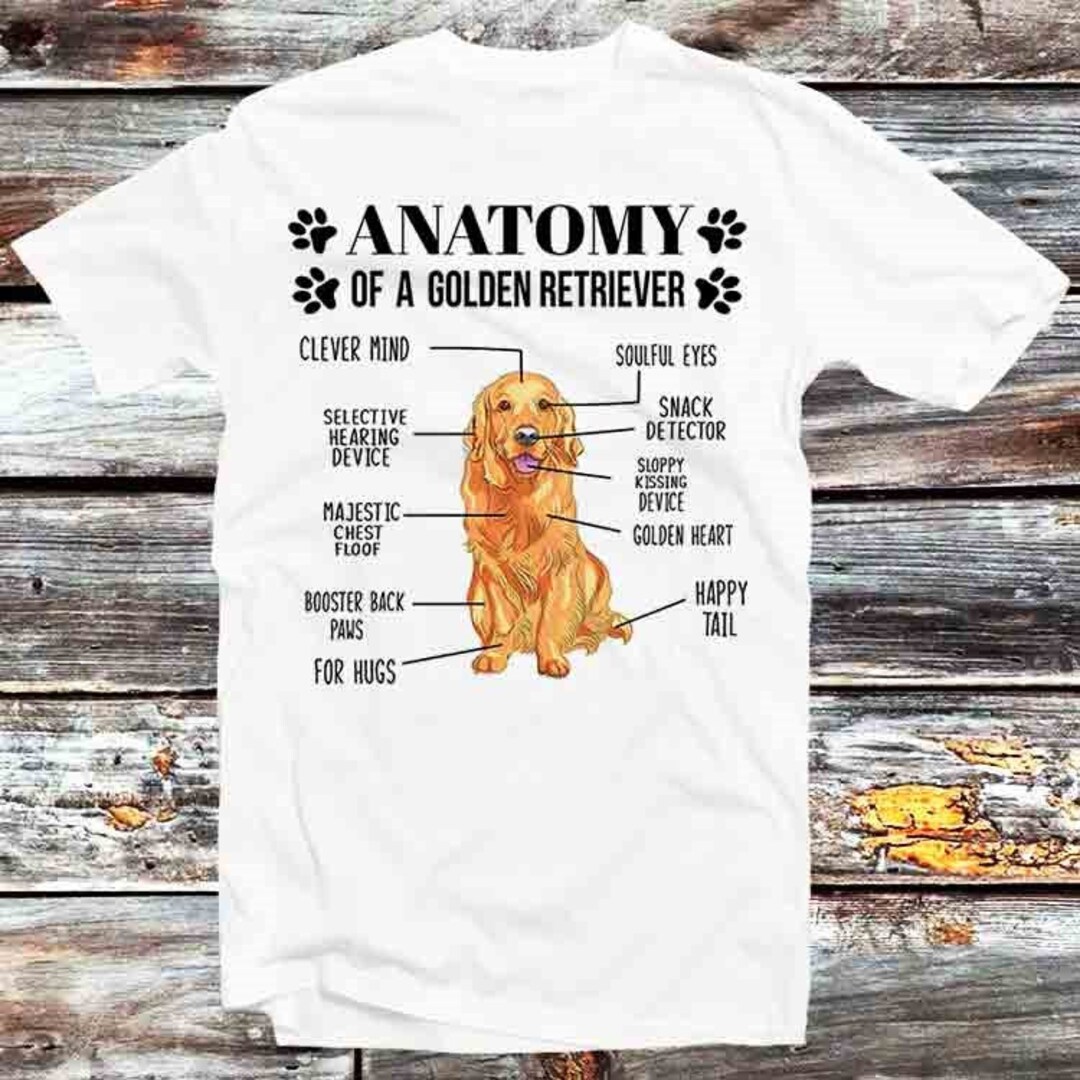 Golden Retriever Anatomy Tee - Perfect Gift for Dog Lovers
