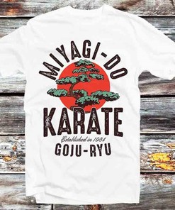 Karate Kid 1984 TV Series T-Shirt - Relive the Classic Show with This Vintage Retro Tee