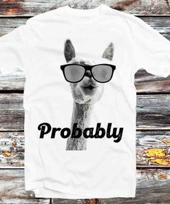 Llama Alpaca Sunglasses Tee - Adorable Gift for Animal Lovers and Fans of Llamas and Alpacas
