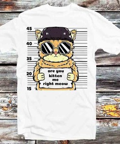 Meow Prison Mugshot Cat T-Shirt - Fun and Cool Gift for Anyone Who Loves Cats