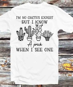 No Cactus Expert But I Know A Prick T-Shirt - Vintage Retro Gift for Plant Lovers