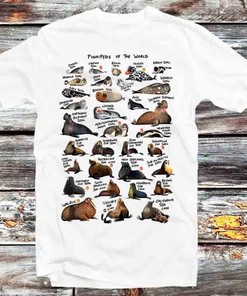Pinnipeds Names List Graphic Tee - Cute Gift for Animal Lovers