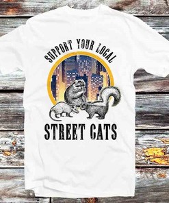 Retro Cool Street Raccoon Rat Anime T-Shirt - Unique Gift Idea