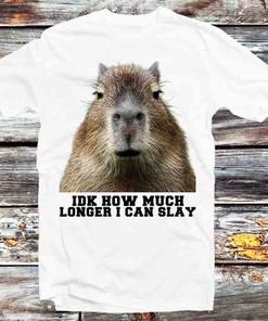 Slay Capybara Dank Meme Tee for Humor and Anime Fans - Unisex Anime Top Tee