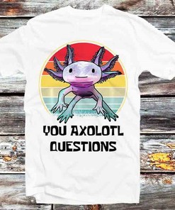 You Axolotl Questions DND Online Gamer T-Shirt - Retro Anime Gift for Gamers