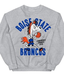 Boise State Broncos Vintage Basketball Tee, Perfect Fan Gift