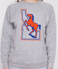 Boise State Broncos Vintage Logo Tee, Perfect Fan Gift