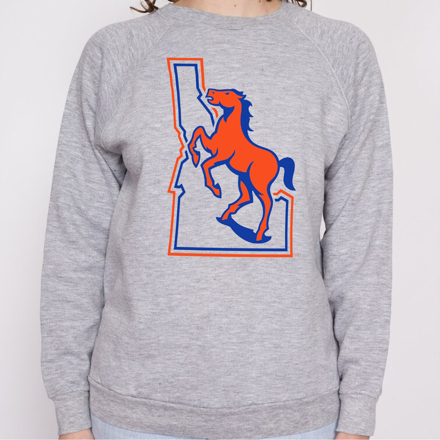Boise State Broncos Vintage Logo Tee, Perfect Fan Gift