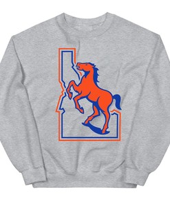 Boise State Broncos Vintage Logo Tee, Perfect Fan Gift