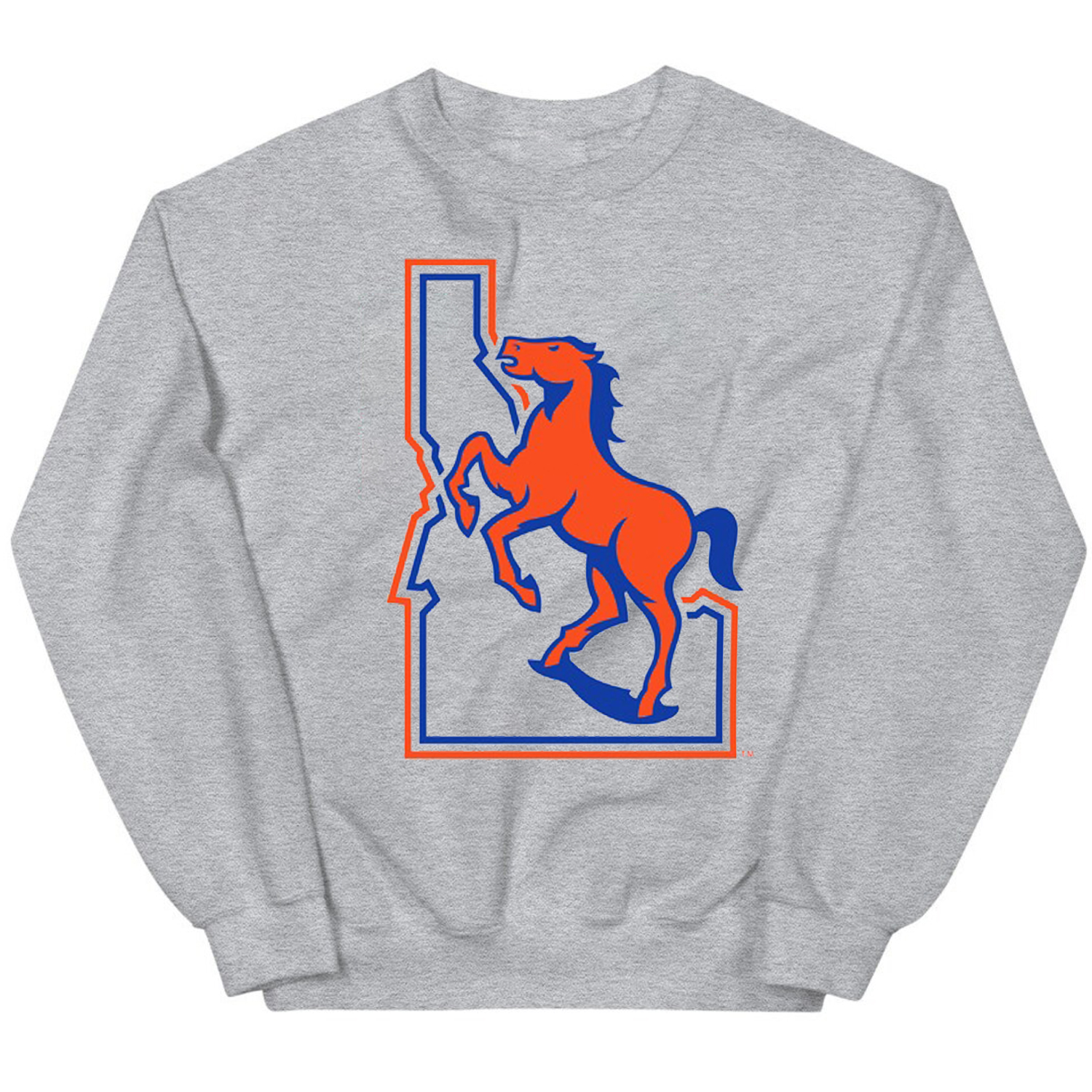 Boise State Broncos Vintage Logo Tee, Perfect Fan Gift