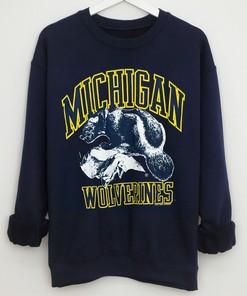 Michigan Wolverines Tee - I Stole My Boyfriend's Shirt, Perfect Gift for Fans