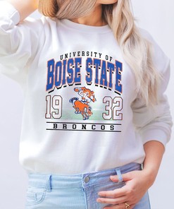 Retro 90's Boise Mascot Tee, Perfect Fan Gift