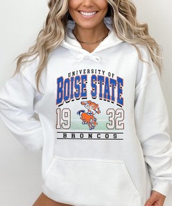 Retro 90's Boise Mascot Tee, Perfect Fan Gift