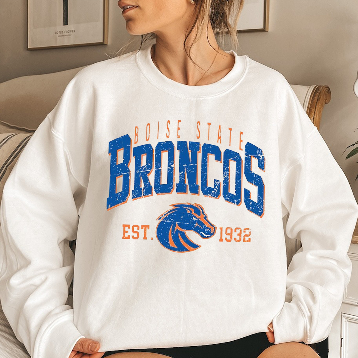 Retro Boise State Football Tee, Perfect Fan Gift