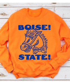 Vintage Boise State Broncos Tee, Perfect Fan Gift