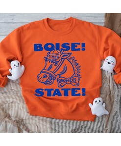 Vintage Boise State Broncos Tee, Perfect Fan Gift
