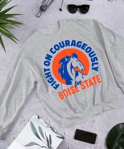 Vintage Boise State Fight Song Tee, Perfect Fan Gift
