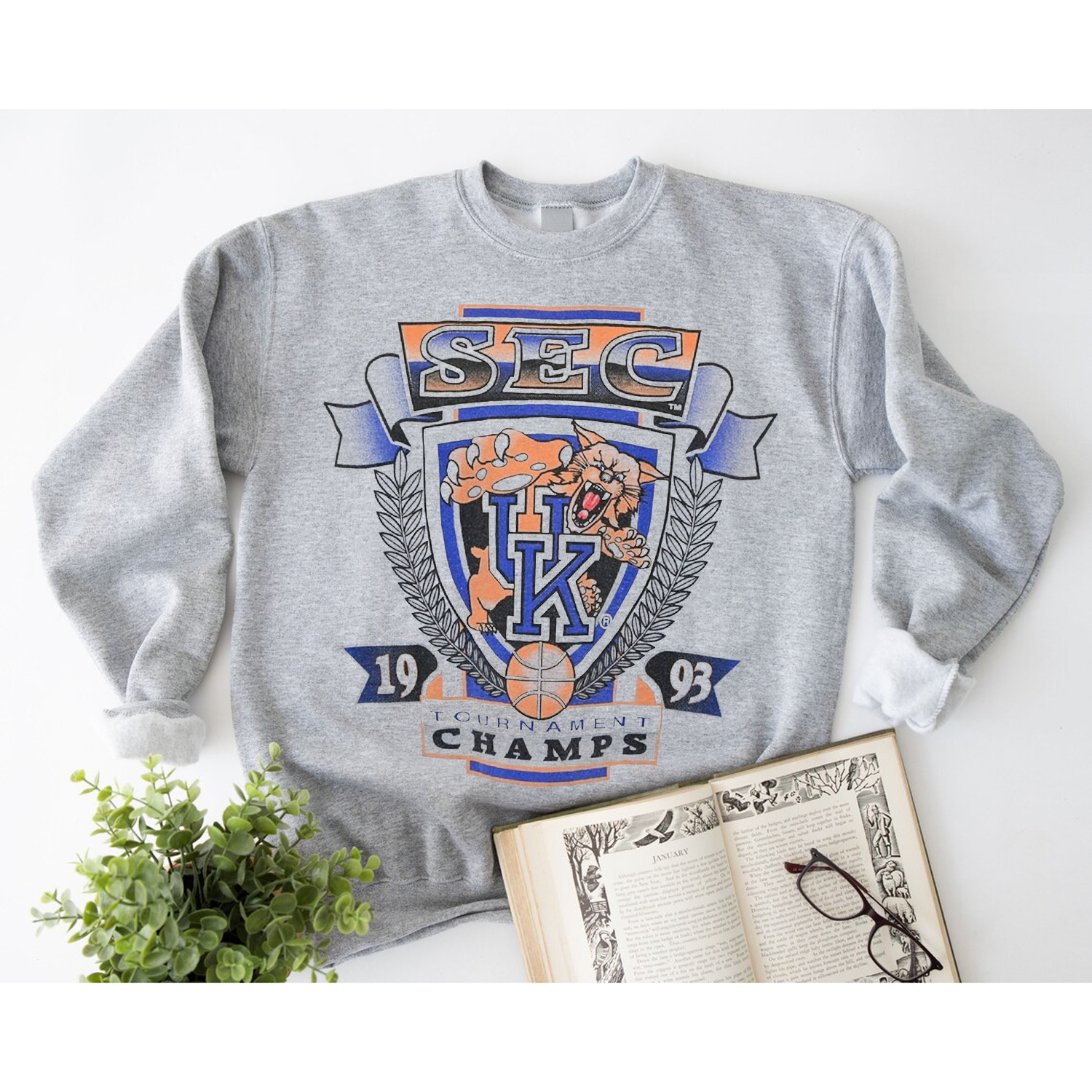 90S Kentucky Wildcats 1993 Sec Southeastern Conference Basketball Champions T-Shirt, Fan Gift