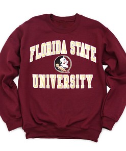 Champion Florida State Seminoles Logo T-Shirt - Fan Gift