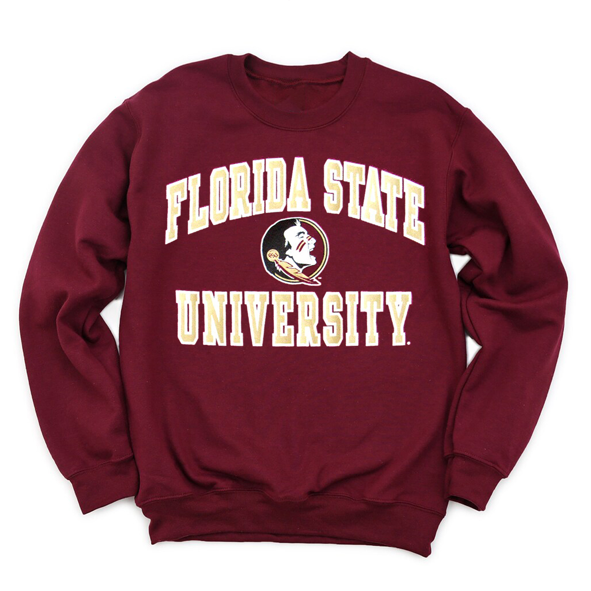 Champion Florida State Seminoles Logo T-Shirt - Fan Gift