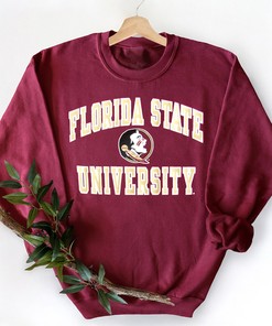 Champion Florida State Seminoles Logo T-Shirt - Fan Gift