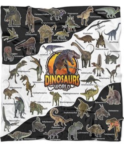 Dinosaur Blanket for Boys Dino Blanket Birthday Christmas Dinosaur Gifts for Boys Kids Dinosaur Bedroom Decor