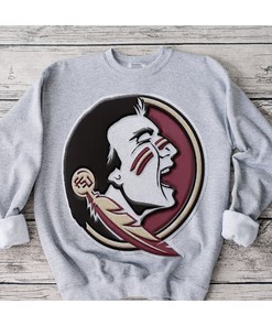 Florida State Seminoles Team Ombre T-Shirt - Fan Gift
