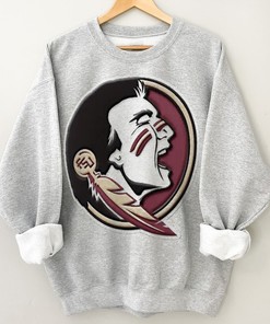 Florida State Seminoles Team Ombre T-Shirt - Fan Gift