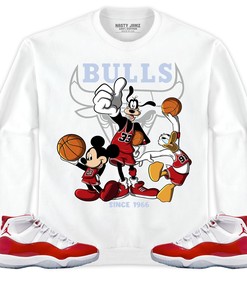 Jordan 11 Cherry Unisex Sweatshirt, Hoodie Shirts Disney Basketball, Shirt To Match Sneaker