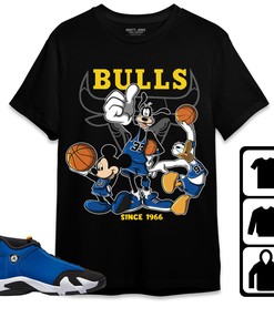 Jordan 14 Laney Unisex Shirt, Hoodie Sweatshirt Disney Basketball, Shirt To Match Sneaker