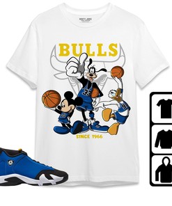 Jordan 14 Laney Unisex Shirt, Hoodie Sweatshirt Disney Basketball, Shirt To Match Sneaker
