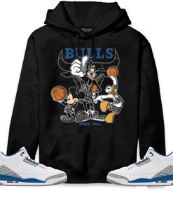 Jordan 3 Wizards Unisex Sweatshirt, Hoodie Shirts Disney Basketball, Shirt To Match Sneaker