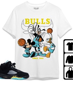 Jordan 5 Aqua Unisex Shirt, Hoodie Sweatshirt Disney Basketball, Shirt To Match Sneaker