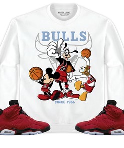 Jordan 6 Toro Bravo Unisex Sweatshirt, Hoodie Shirts Disney Basketball, Shirt To Match Sneaker