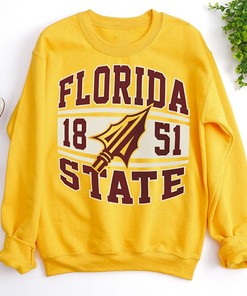 NCAA Men's Florida State Seminoles Retro Graphic T-Shirt - Fan Gift